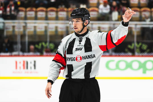 Domare Oscar Niklasson