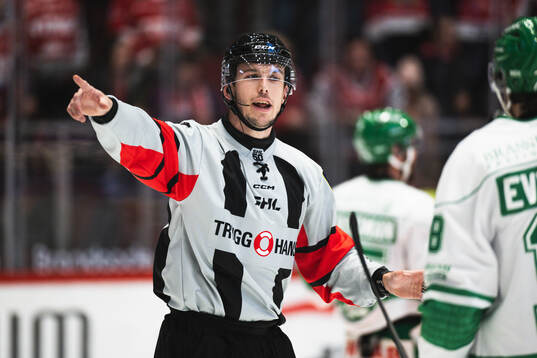 Domare Oscar Niklasson