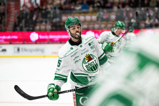 Rögles Mark Friedman