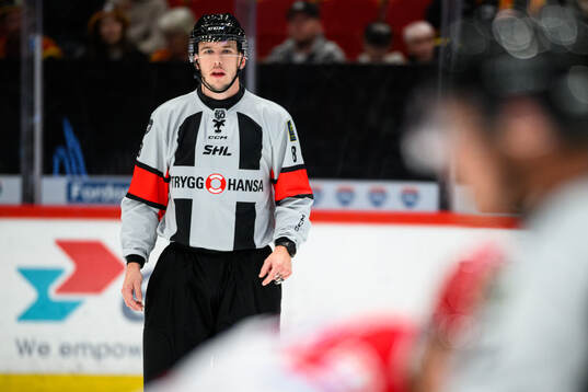 Domare Oscar Niklasson