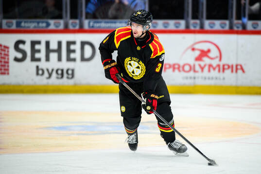 Brynäs Christian Djoos