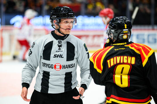 Linjedomare William Henriksson