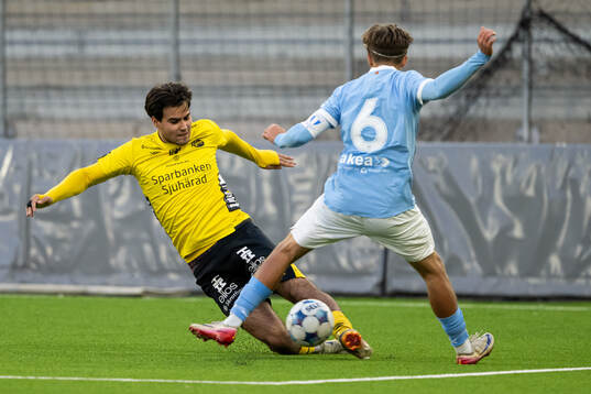 Elfsborgs Leo Saritas Bylund