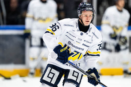 HV71s Martin Johnsen