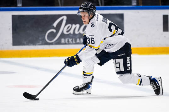 HV71s Martin Johnsen