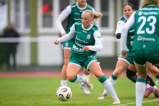 Alingsås Saga Fredgren