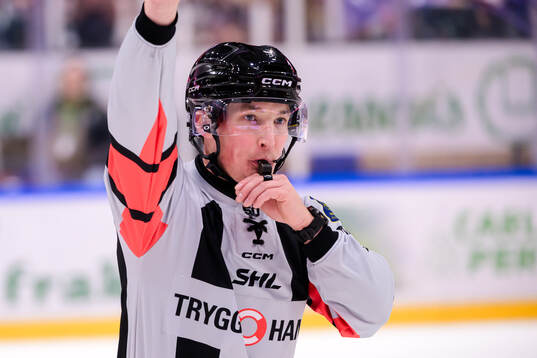 domare Alexander Österberg