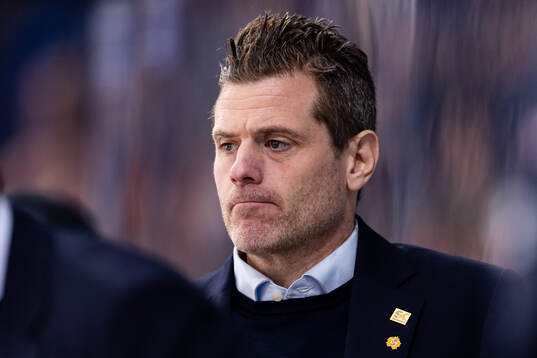 Skellefteås tränare Daniel Hermansson