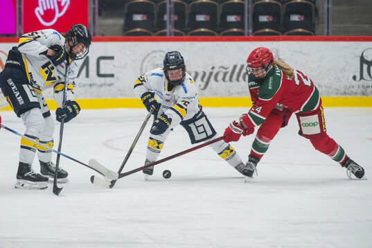 Modos Ebba Hedqvist och HV71s Kennedy Bobyck