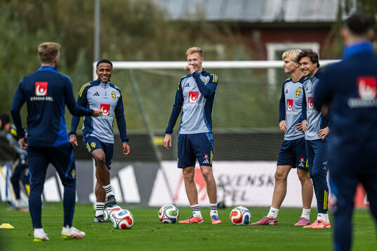 Niclas Eliasson, Hugo Larsson, Lucas Bergvall and Victor