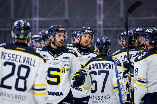 Södertäljes spelare jublar