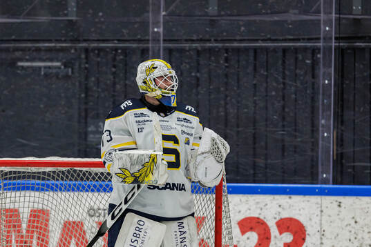 Södertäljes målvakt Love Härenstam  jublar