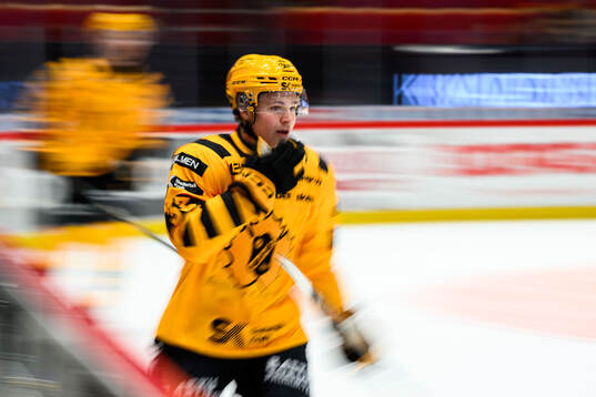 Skellefteås Zeb Forsfjäll