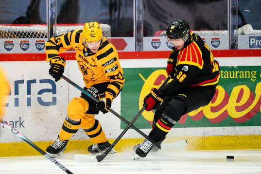 Skellefteås Andreas Johnson och Brynäs Linus Ölund