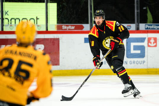Brynäs Tyler Vesel