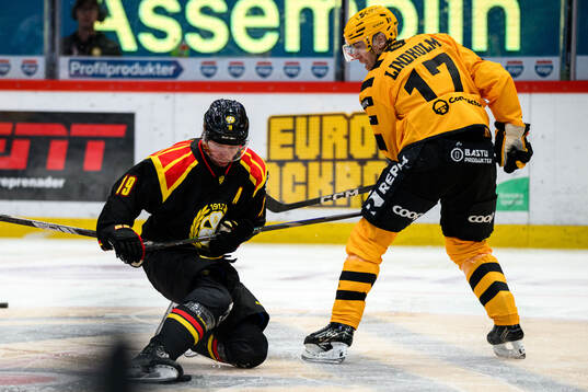 Brynäs Nicklas Bäckström och Skellefteås Pär Lindholm