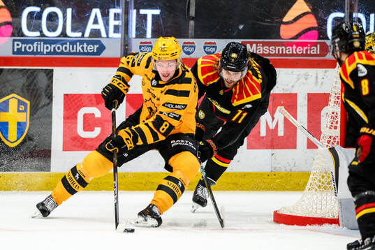 Skellefteås Oliver Okuliar och Brynäs Axel