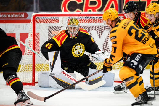 Brynäs målvakt Damian Clara