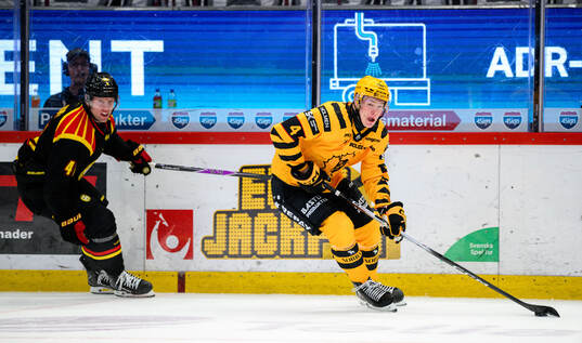 Brynäs Greg Scott och Skellefteås Rasmus Bergqvist