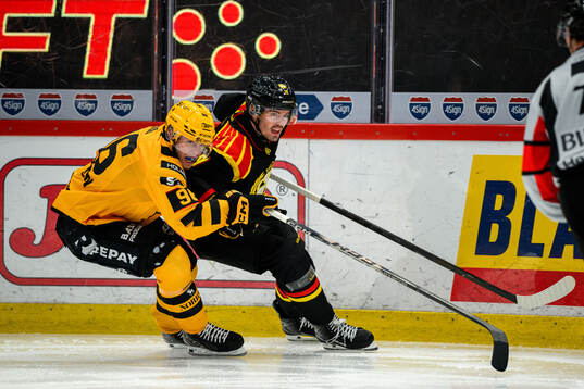 Skellefteås Rickard Hugg och Brynäs Axel Andersson