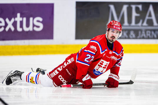 Timrås Ludvig Levinsson