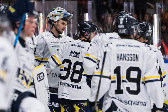 HV71s målvakt Frederik Dichow jublar med lagkamrater