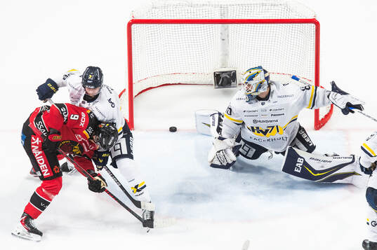 HV71s målvakt Frederik Dichow