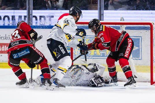 HV71s målvakt Frederik Dichow