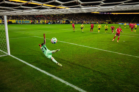 Goalkeeper Viktor Johansson lets in the 0-1 goal