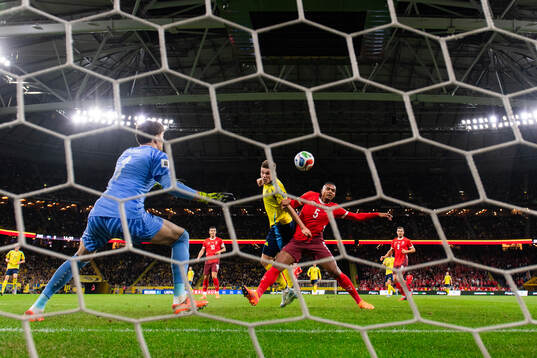 Goalkeeper Gregor Kobel and Manuel Akanji of Switzerland