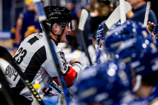 Domare Oscar Niklasson