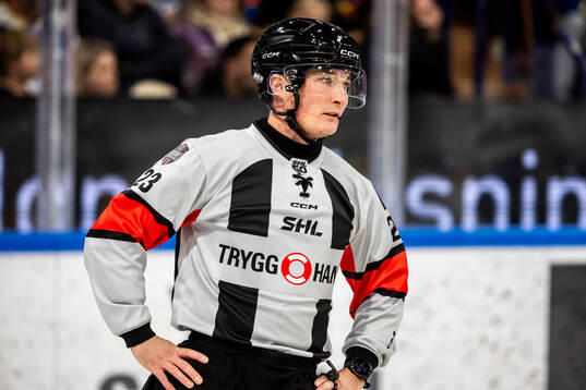 Domare Oscar Niklasson