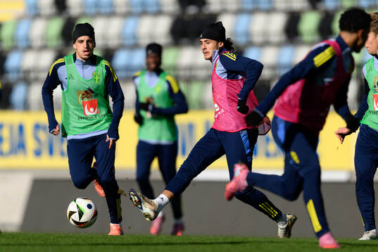 Taha Ayari and Amin Boudri of the Swedish under-21 national