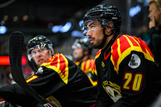 Brynäs Tyler Vesel
