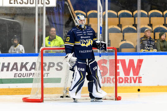 HV71s målvakt Frederik Dichow