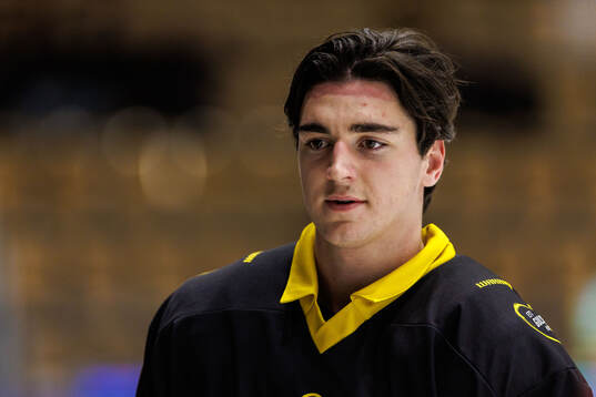 Västerås Joel Kant