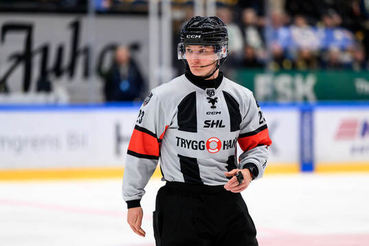 Domare Alexander Österberg