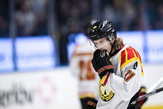 Brynäs Axel Jonsson-Fjällby
