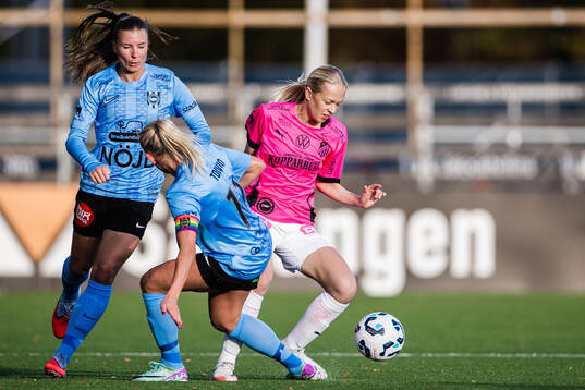 Häckens Lisa Löwing