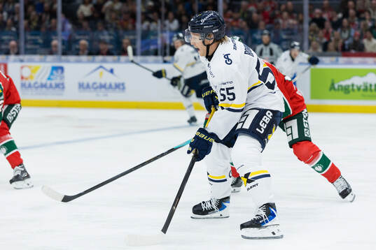 HV71s Andreas Borgman