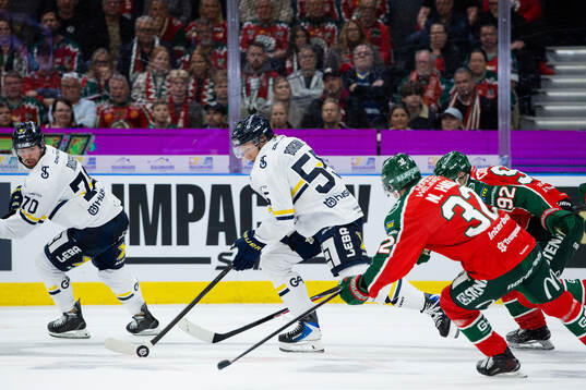 HV71s Andreas Borgman