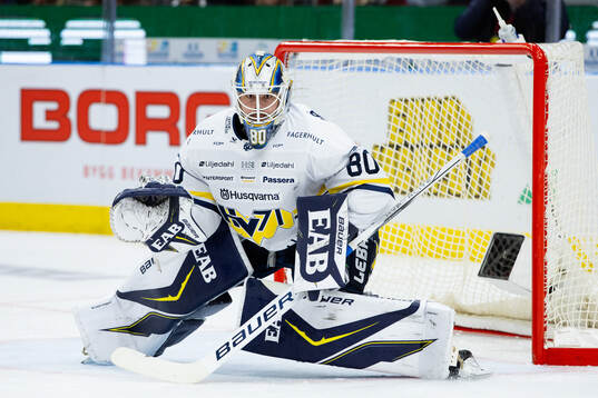 HV71s målvakt Frederik Dichow