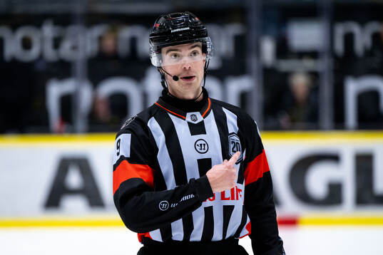 Domare Filip Eriksson