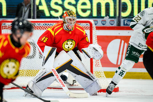 Brynäs målvakt Damian Clara
