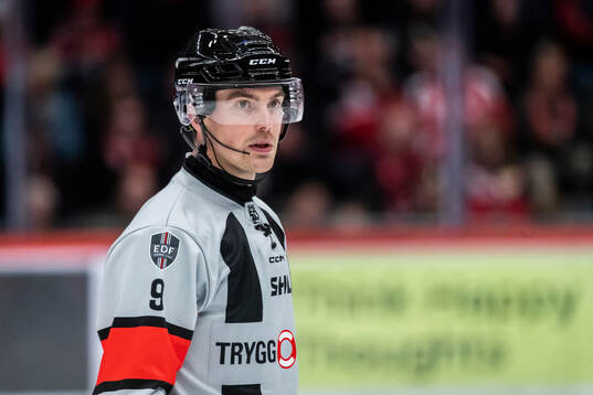 Domare  Filip Eriksson