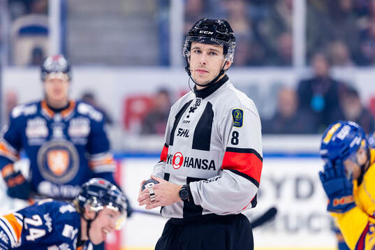 Domare Oscar Niklasson