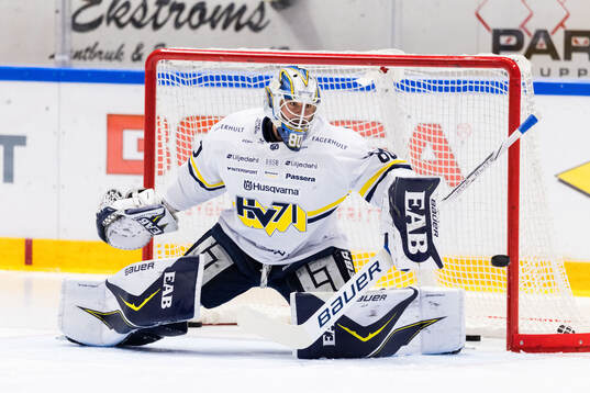 HV71s målvakt Frederik Dichow