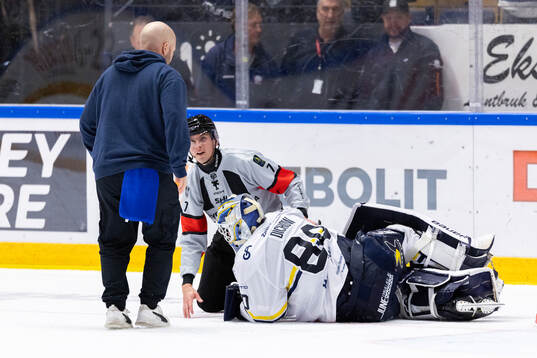 HV71s målvakt Frederik Dichow har ont