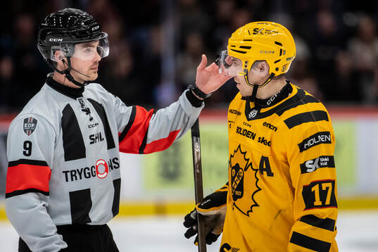 Domare Filip Eriksson och Skellefteås Pär Lindholm