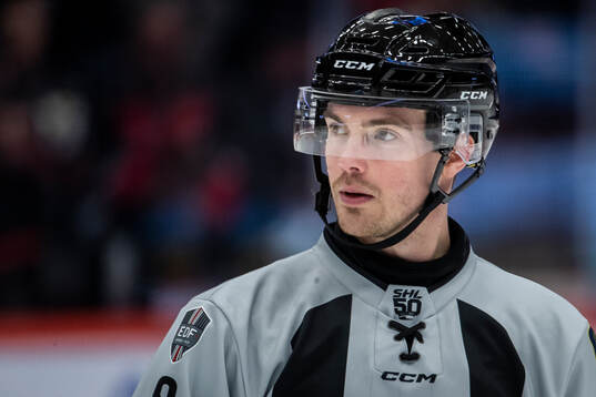 Domare Filip Eriksson